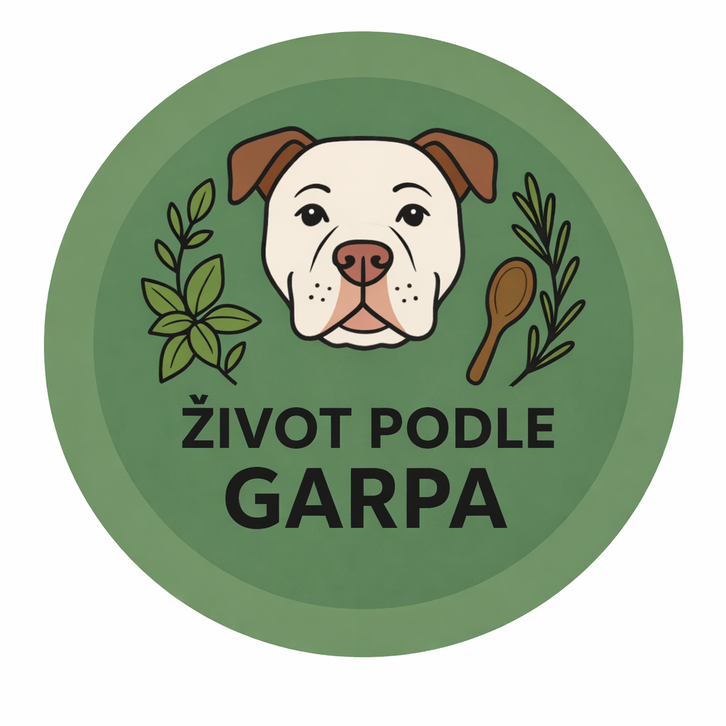 ŽIVOT PODLE GARPA